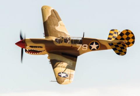 P-40