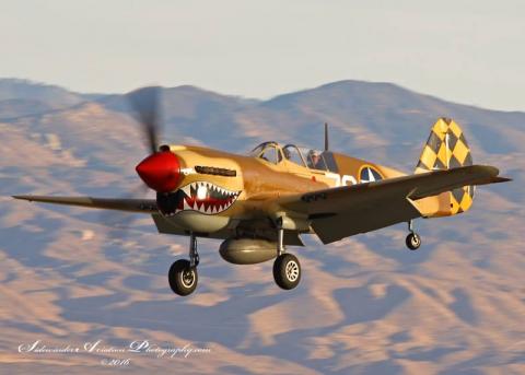 P-40
