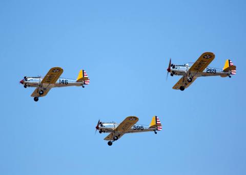 PT-22