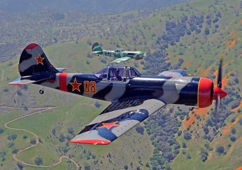 Yak 50